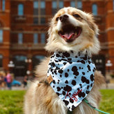 Bandana - Dalmatian - 4 DOTS